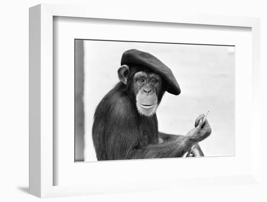 Artist Chimp 1955-Williams-Framed Photographic Print