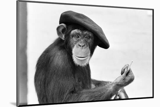 Artist Chimp 1955-Williams-Mounted Photographic Print