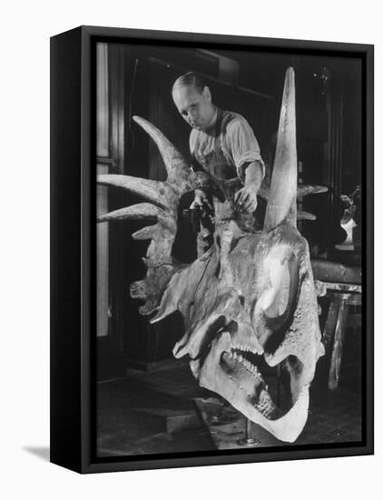 Artist Coloring Model Made from Original Skull of Styracosaurus, American Museum of Natural History-Margaret Bourke-White-Framed Stretched Canvas