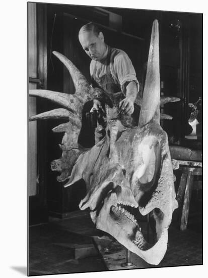 Artist Coloring Model Made from Original Skull of Styracosaurus, American Museum of Natural History-Margaret Bourke-White-Mounted Photographic Print