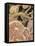 Artist Depcition of Glomerulus Capillaries-null-Framed Stretched Canvas