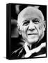Artist Pablo Picasso. 1971-null-Framed Stretched Canvas