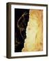 Artist's Abstract Depiction of Schizophrenia-David Gifford-Framed Photographic Print