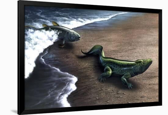 Artist's Concept Depicting the Evolution of a Lobe-Finned Fish to an Amphibian-null-Framed Art Print