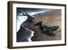 Artist's Concept Depicting the Evolution of a Lobe-Finned Fish to an Amphibian-null-Framed Premium Giclee Print