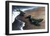 Artist's Concept Depicting the Evolution of a Lobe-Finned Fish to an Amphibian-null-Framed Premium Giclee Print