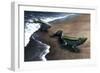 Artist's Concept Depicting the Evolution of a Lobe-Finned Fish to an Amphibian-null-Framed Premium Giclee Print