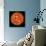 Artist's Concept of a Planet Passing in Front of a Sun-Like Star it Orbits-null-Art Print displayed on a wall