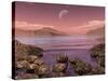 Artist's Concept of Archean Stromatolites on the Shore of an Ancient Sea-Stocktrek Images-Stretched Canvas