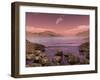 Artist's Concept of Archean Stromatolites on the Shore of an Ancient Sea-Stocktrek Images-Framed Photographic Print