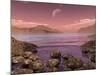 Artist's Concept of Archean Stromatolites on the Shore of an Ancient Sea-Stocktrek Images-Mounted Photographic Print