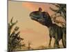 Artist's Concept of Cryolophosaurus-Stocktrek Images-Mounted Photographic Print