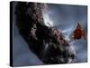 Artist's Concept of Deep Impact's Encounter with Comet Tempel 1-Stocktrek Images-Stretched Canvas