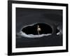 Artist's Concept of How Saturn Might Appear from Within a Hypothetical Ice Cave on Iapetus-Stocktrek Images-Framed Photographic Print