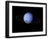 Artist's Concept of Neptune-Stocktrek Images-Framed Premium Photographic Print