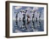 Artist's Concept of Pleasure Droids-Stocktrek Images-Framed Premium Photographic Print