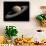 Artist's Concept of Saturn-Stocktrek Images-Photographic Print displayed on a wall