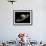 Artist's Concept of Saturn-Stocktrek Images-Framed Photographic Print displayed on a wall