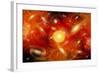 Artist's Concept of the Big Bang Theory-null-Framed Premium Giclee Print