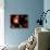 Artist's Concept of the Cosmic Wonders of the Universe-Stocktrek Images-Framed Photographic Print displayed on a wall