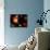 Artist's Concept of the Cosmic Wonders of the Universe-Stocktrek Images-Mounted Photographic Print displayed on a wall