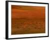 Artist's Concept of the Surface of Saturn's Moon Titan-Stocktrek Images-Framed Photographic Print