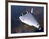 Artist's Concept of the X-33 after Engine Shutdown-null-Framed Art Print