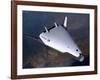Artist's Concept of the X-33 after Engine Shutdown-null-Framed Art Print