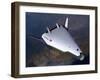 Artist's Concept of the X-33 after Engine Shutdown-null-Framed Art Print