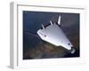 Artist's Concept of the X-33 after Engine Shutdown-null-Framed Art Print