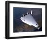 Artist's Concept of the X-33 after Engine Shutdown-null-Framed Art Print