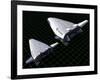 Artist's Concept Showing the Relative Sizes of the X-33 and Venturestar-null-Framed Art Print