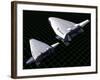 Artist's Concept Showing the Relative Sizes of the X-33 and Venturestar-null-Framed Art Print