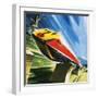 Artist's Conception of a Glider Train-Wilf Hardy-Framed Giclee Print