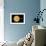 Artist's Depiction of a Binary Star System with a Close Orbiting Planet-null-Framed Art Print displayed on a wall