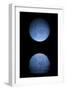 Artist's Depiction of a Heavily Cratered Blue Moon Rising over a Body of Calm Water-null-Framed Art Print