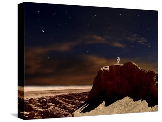 Stretched Canvas Print, , large