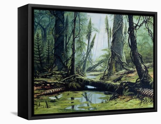 Artist's Impression of a Carboniferous Forest.-Ludek Pesek-Framed Stretched Canvas