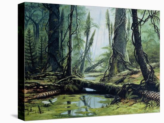 Artist's Impression of a Carboniferous Forest.-Ludek Pesek-Stretched Canvas