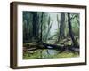 Artist's Impression of a Carboniferous Forest.-Ludek Pesek-Framed Photographic Print