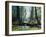 Artist's Impression of a Carboniferous Forest.-Ludek Pesek-Framed Photographic Print
