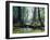 Artist's Impression of a Carboniferous Forest.-Ludek Pesek-Framed Photographic Print