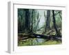 Artist's Impression of a Carboniferous Forest.-Ludek Pesek-Framed Photographic Print