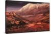 Artist's Impression of the Martian Surface-Ludek Pesek-Stretched Canvas