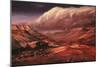 Artist's Impression of the Martian Surface-Ludek Pesek-Mounted Photographic Print