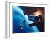 Artist's Rendering of Fully Deployed Hubble Space Telescope with Shuttle Orbiter in Vicinity-null-Framed Photographic Print