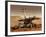 Artist's Rendition of Mars Rover-Stocktrek Images-Framed Photographic Print