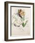 Artist with Green Gloves - Singer Dolly from Star at Le Havre, 1899-Henri de Toulouse-Lautrec-Framed Giclee Print