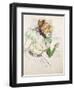 Artist with Green Gloves - Singer Dolly from Star at Le Havre, 1899-Henri de Toulouse-Lautrec-Framed Giclee Print