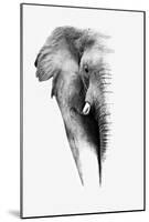 Artistic Black And White Elephant-Donvanstaden-Mounted Poster